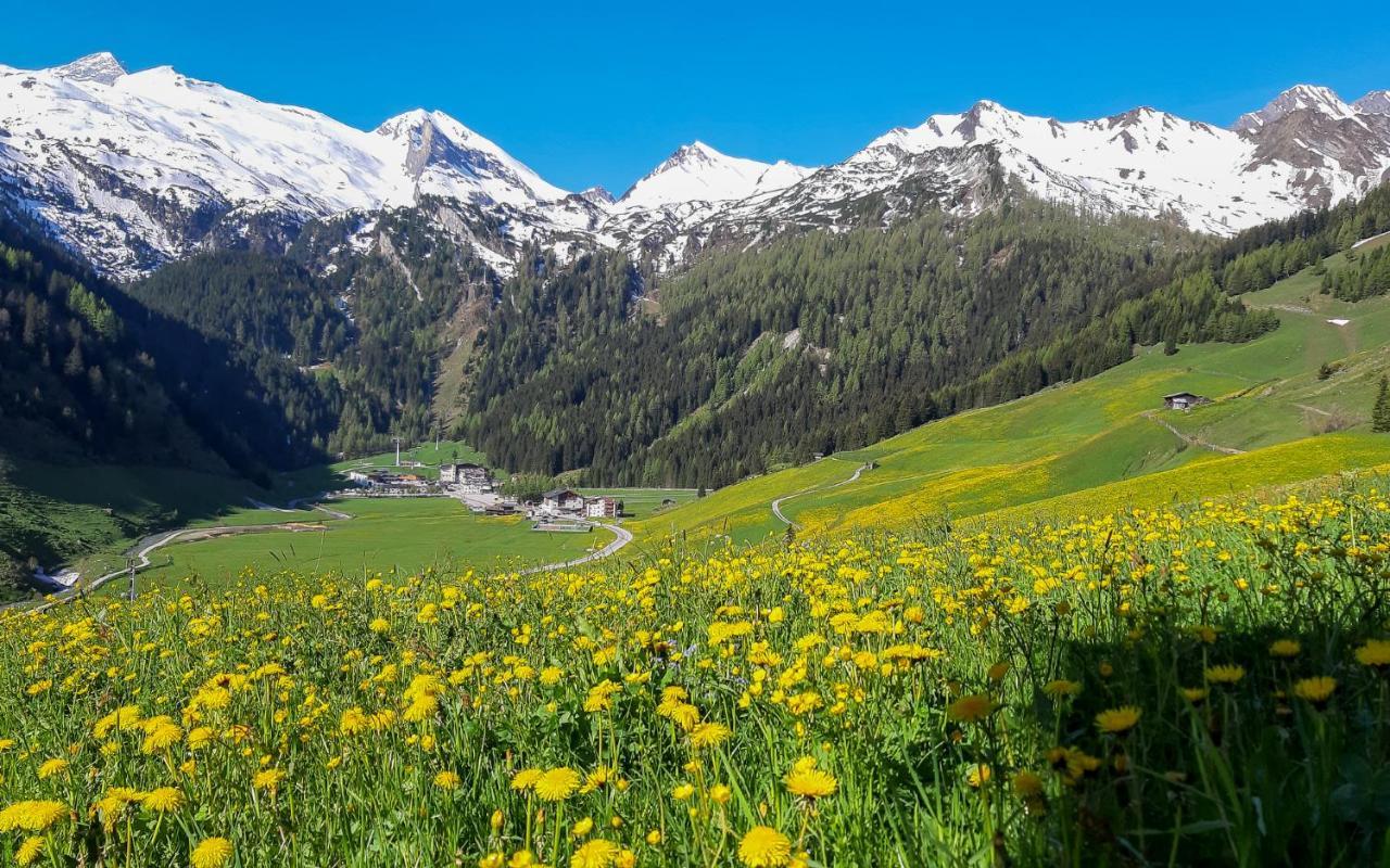 Landhaus Mader Hintertux Daire Dış mekan fotoğraf